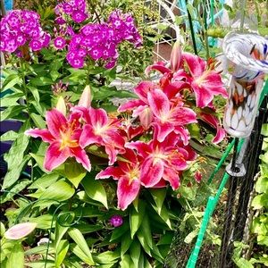 Meet your Posher, Lesley